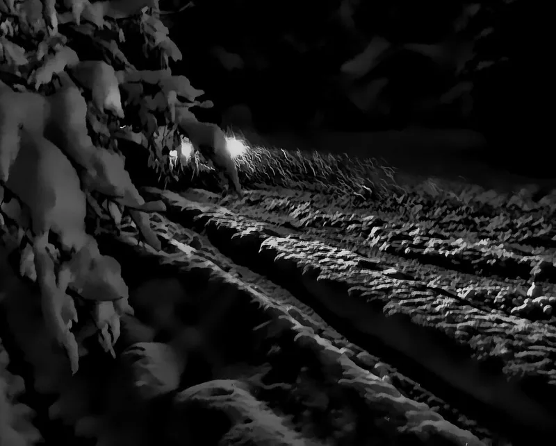 Snowy road at night with distant headlights